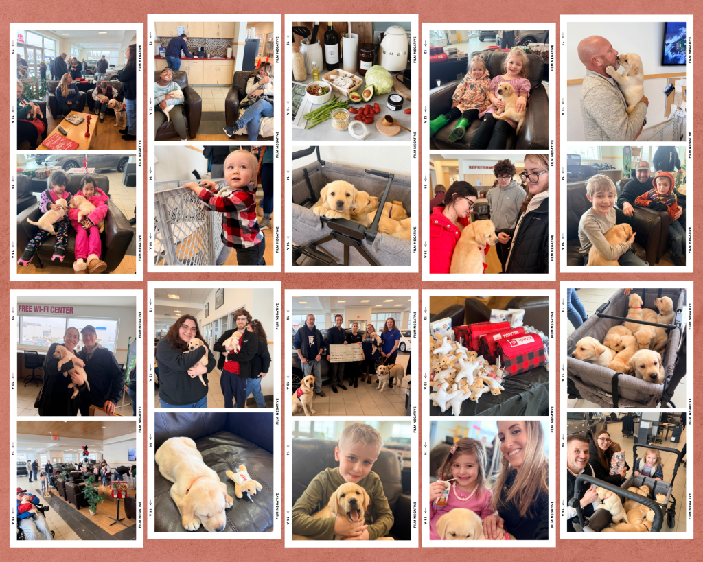 Paws for a Cause Event at Steet Toyota