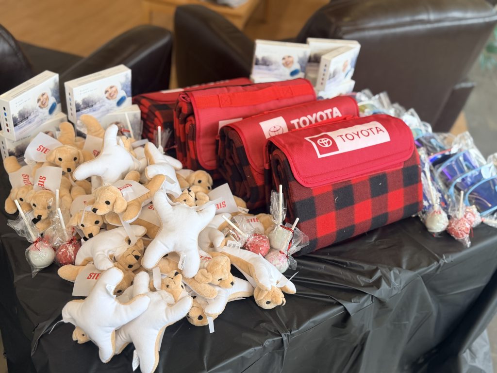 Paws for a Cause Event at Steet Toyota