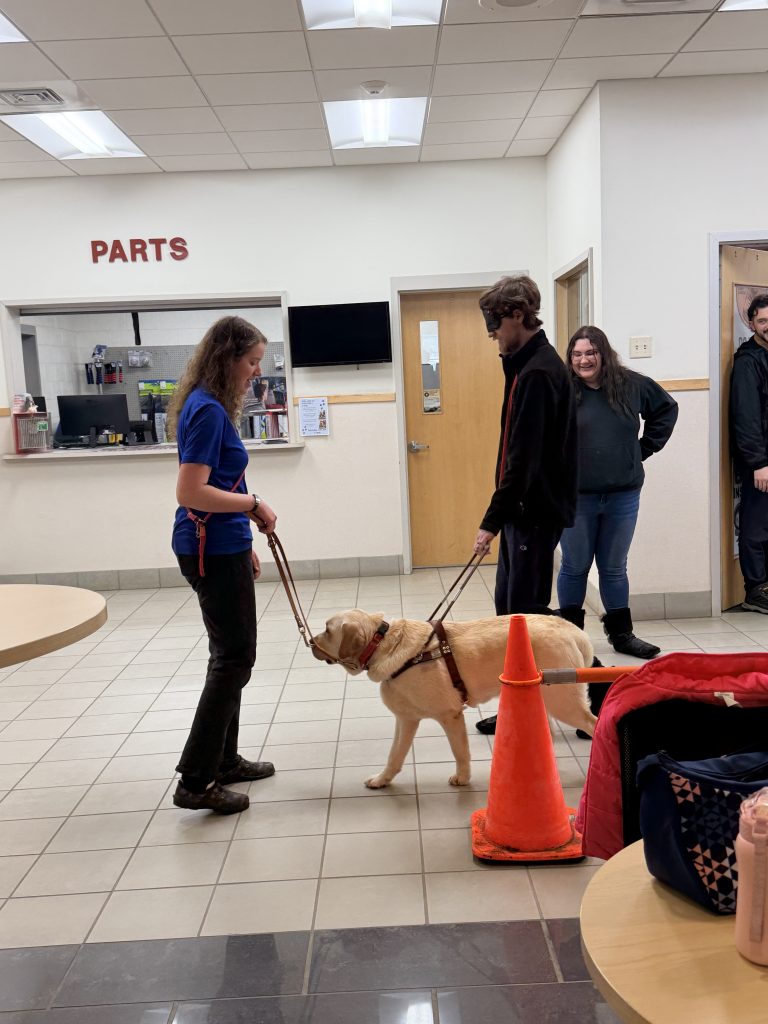 Paws for a Cause Obstacle Course