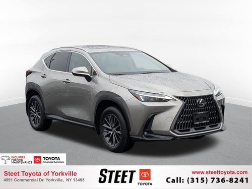 2023 Lexus NX 350h Premium