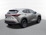 2023 Lexus NX 350h Premium