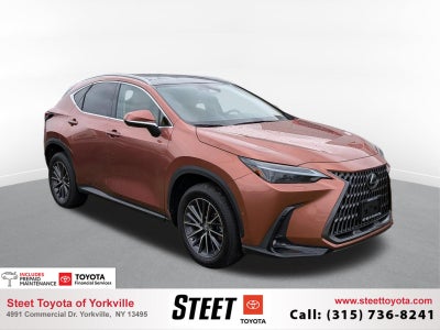 2025 Lexus NX 350h Luxury