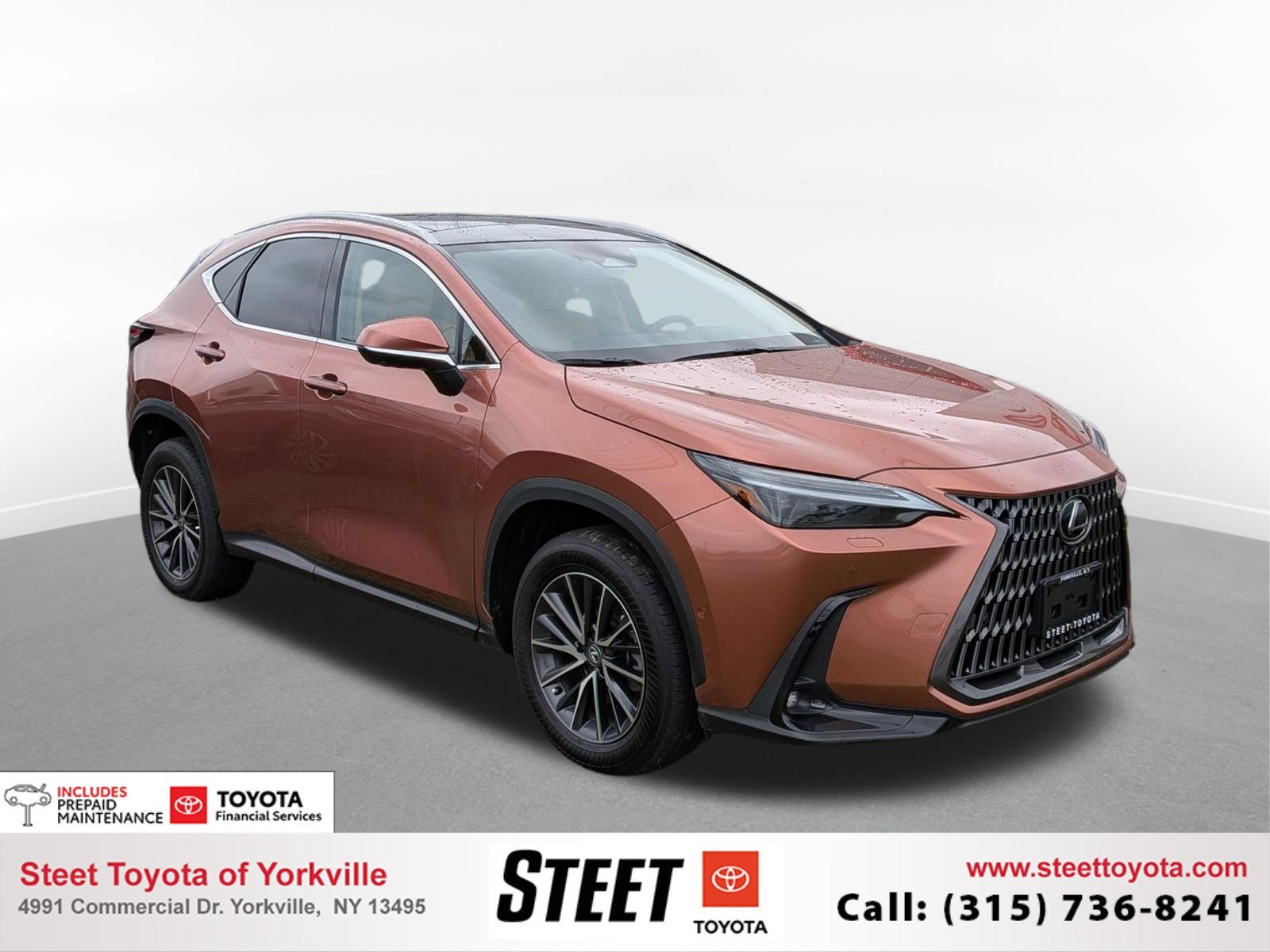 2025 Lexus NX 350h Luxury