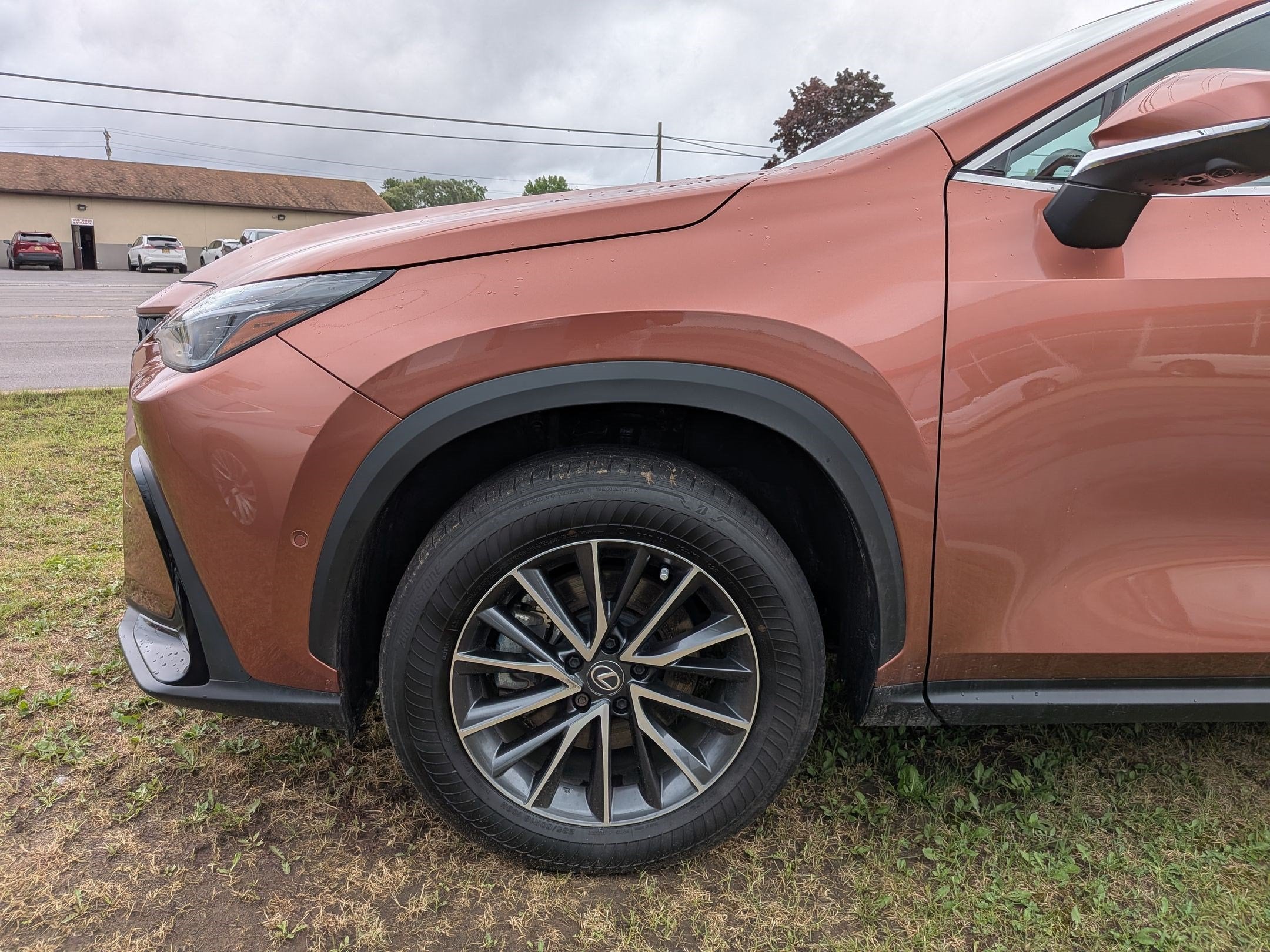 2025 Lexus NX 350h Luxury