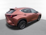 2025 Lexus NX 350h Luxury