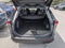 2023 Toyota RAV4 XLE Premium w/ Cold Weather Pkg