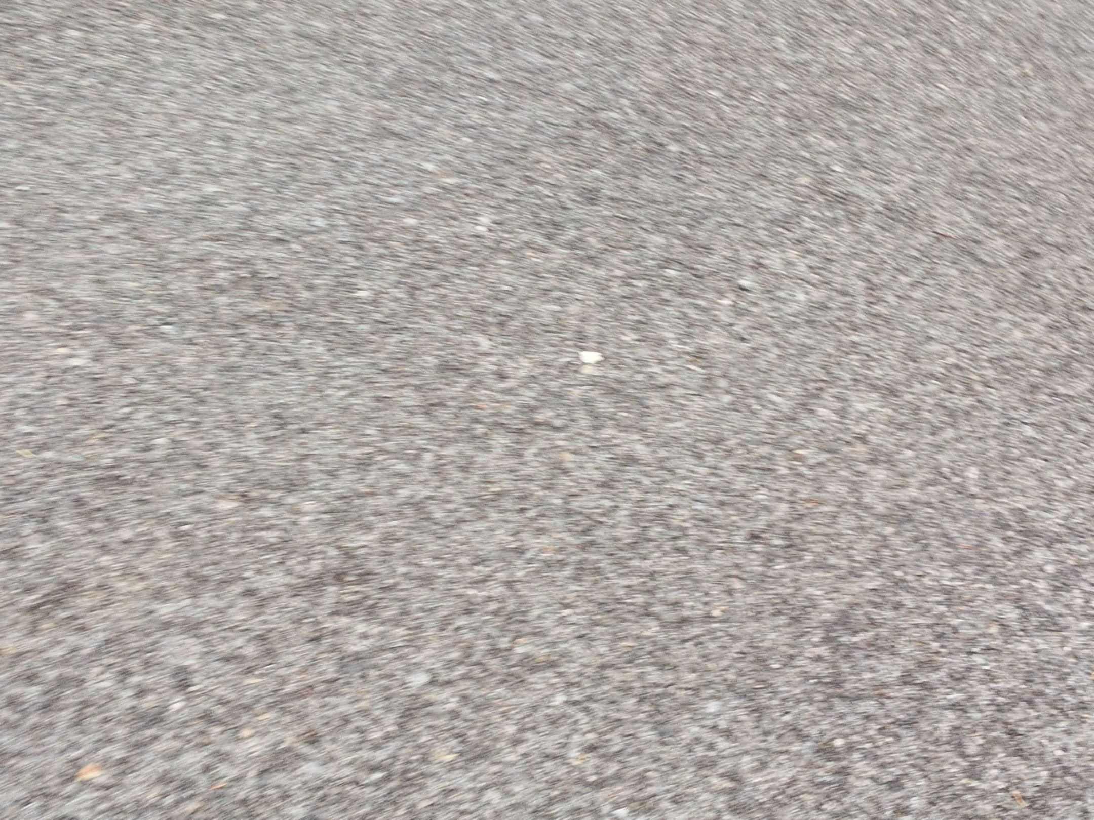 2019 Toyota RAV4 XLE Premium w/ Premium Weather Pkg