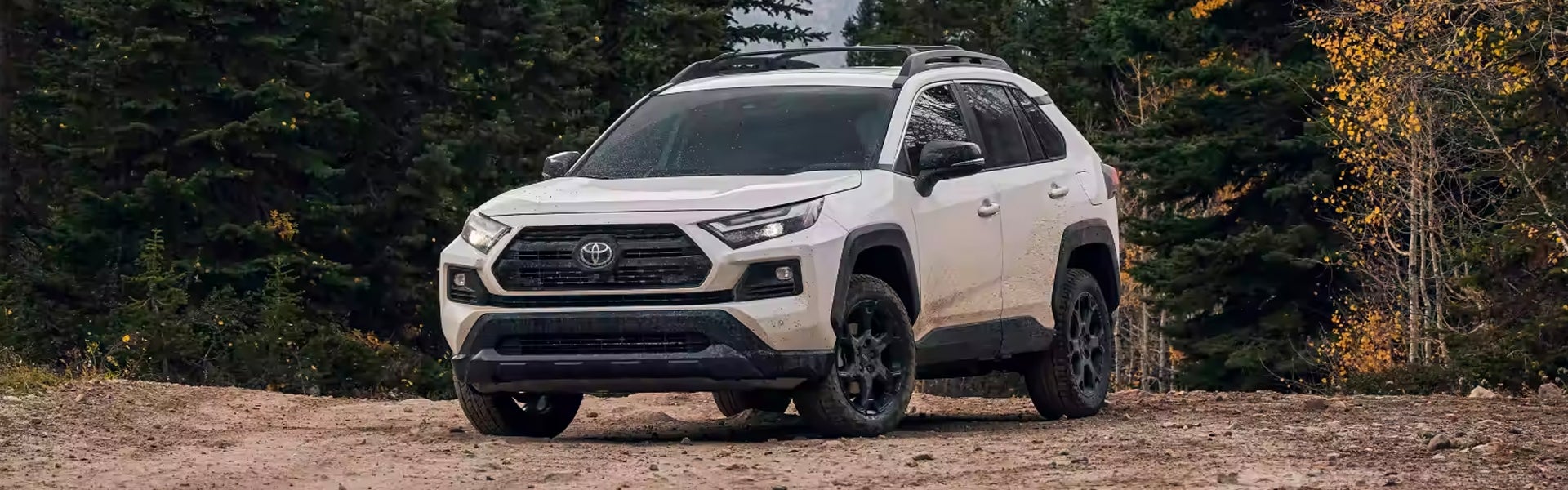 Exterior image of white Toyota RAV4