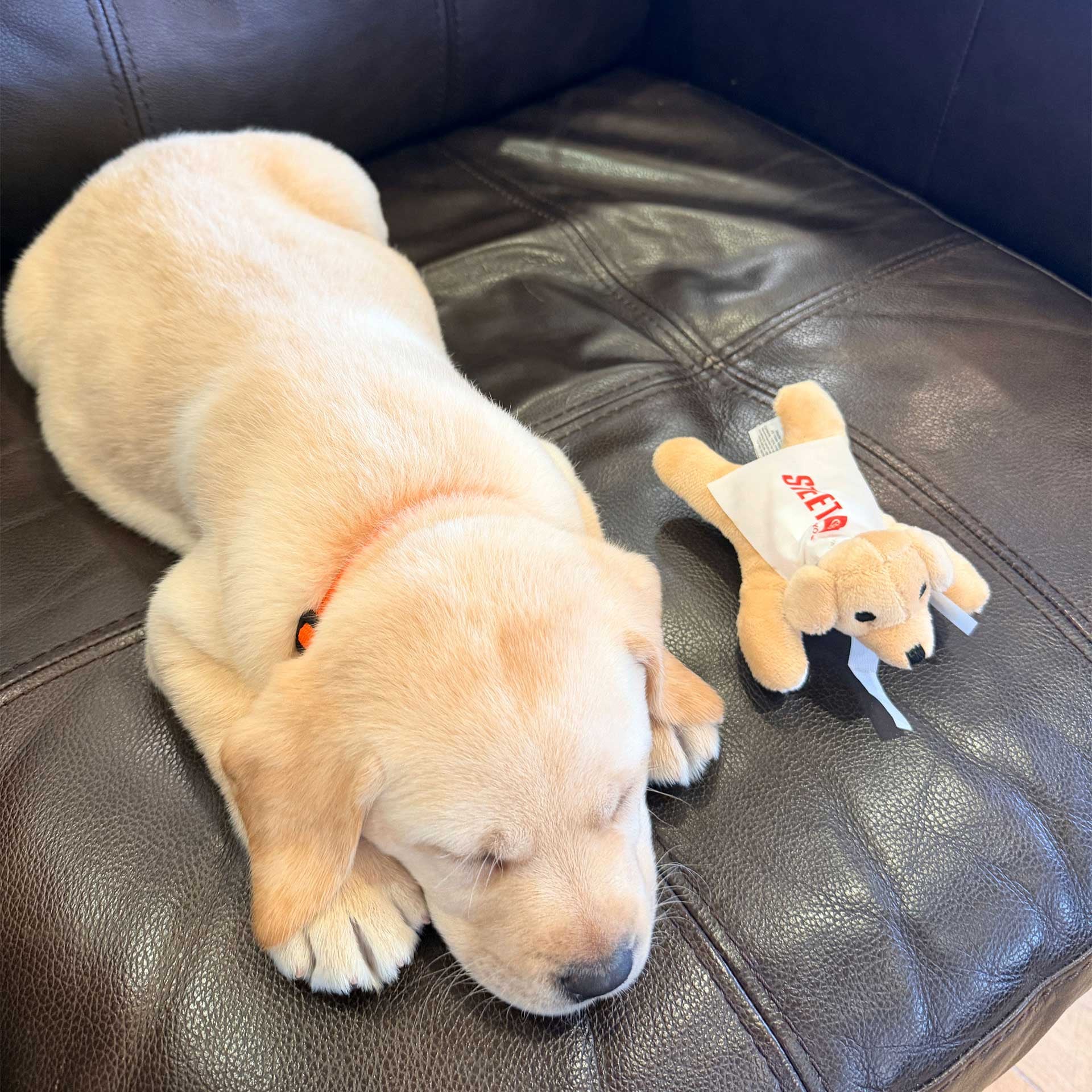 Steet Toyota of Yorkville in Yorkville NY